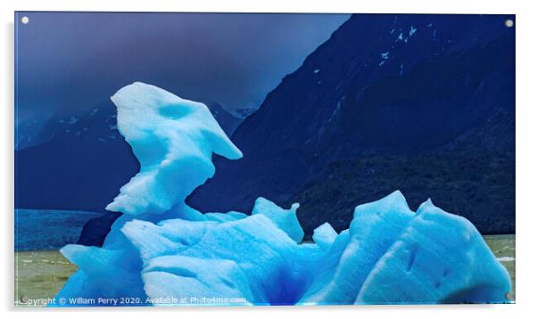 Blue Dragon Iceberg Grey Lake Torres del Paine National Park Chi Acrylic by William Perry