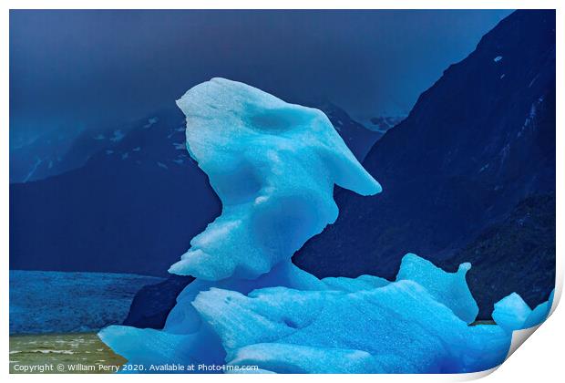 Blue Dragon Iceberg Grey Lake Torres del Paine National Park Chi Print by William Perry