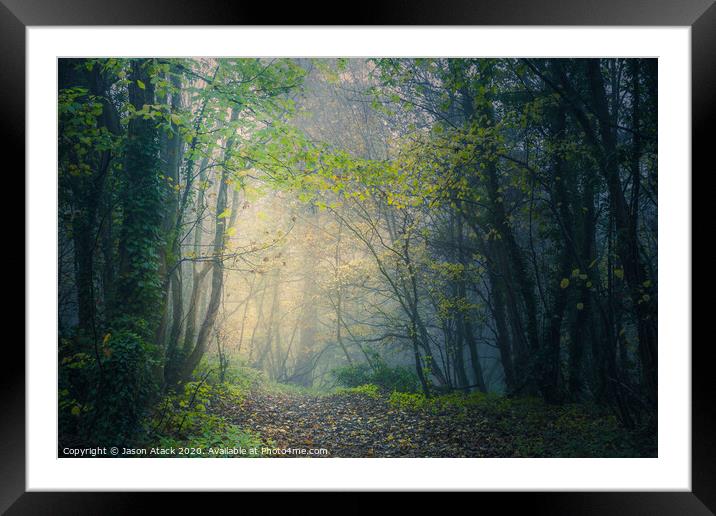 Misty Woodland Framed Mounted Print by Jason Atack