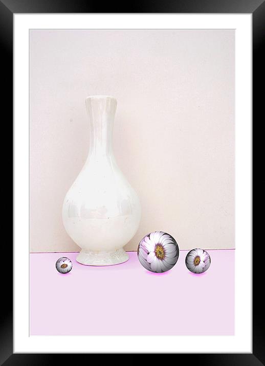 Flower Spheres and Vase Framed Mounted Print by Christine Lake