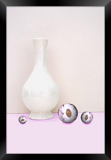 Flower Spheres and Vase Framed Print by Christine Lake