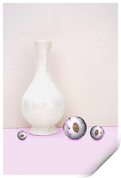 Flower Spheres and Vase Print by Christine Lake