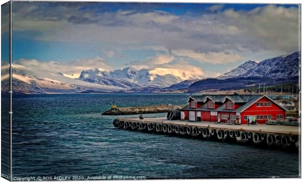  Port of Nesna Norway Canvas Print by ROS RIDLEY