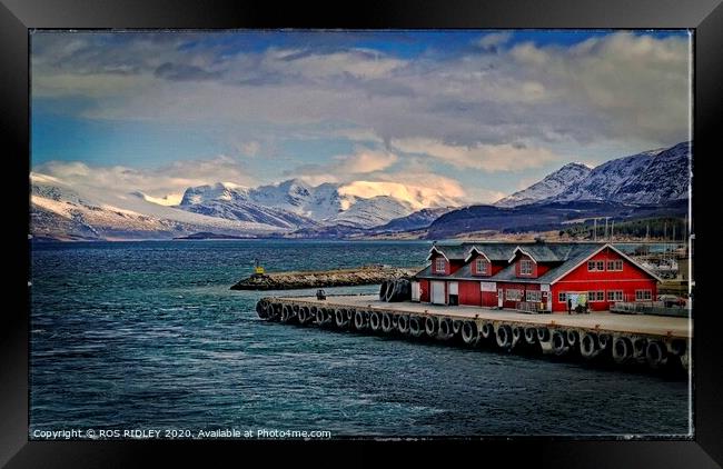  Port of Nesna Norway Framed Print by ROS RIDLEY