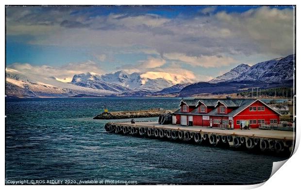  Port of Nesna Norway Print by ROS RIDLEY