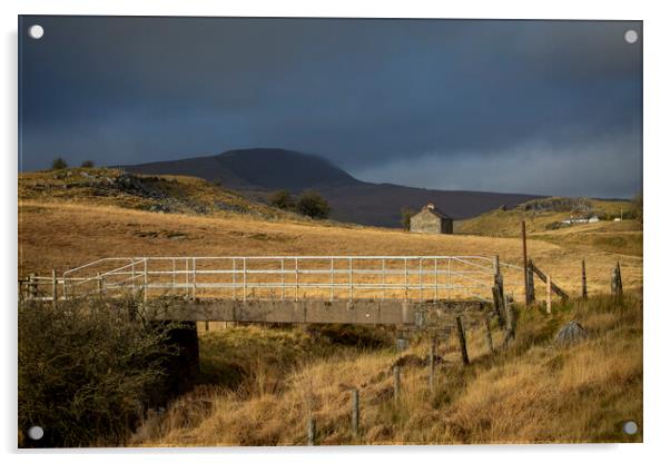 The bridge at Penwyllt Acrylic by Leighton Collins