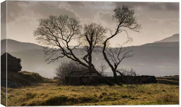 Silhouette of trees at Penwyllt Canvas Print by Leighton Collins
