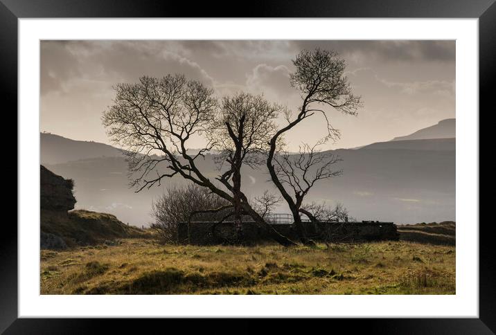 Silhouette of trees at Penwyllt Framed Mounted Print by Leighton Collins