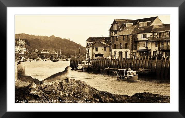 Early Morning Looe Departure. Framed Mounted Print by Neil Mottershead