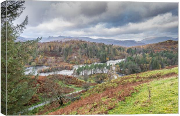 Tarn Hows view Canvas Print by Jonathon barnett