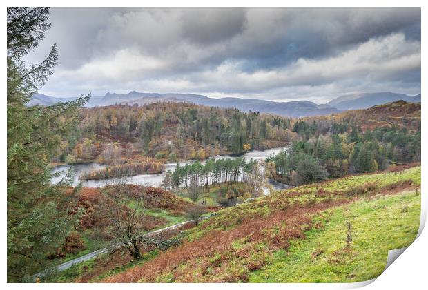 Tarn Hows view Print by Jonathon barnett