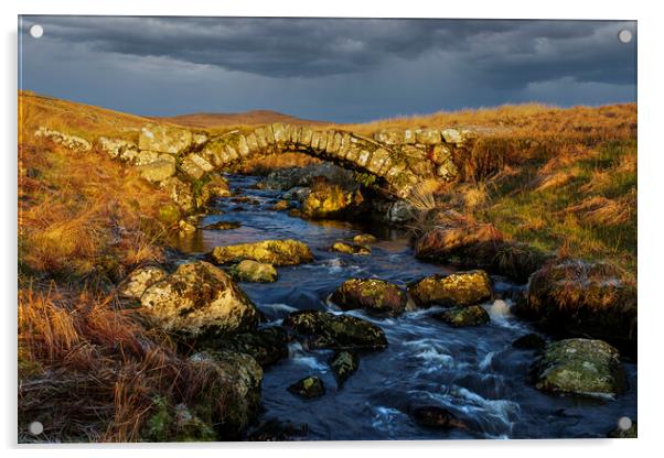  Migneint pack horse bridge Acrylic by Rory Trappe