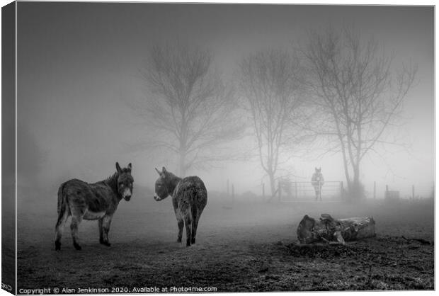 Donkey Sanctuary in the Mist Canvas Print by Alan Jenkinson