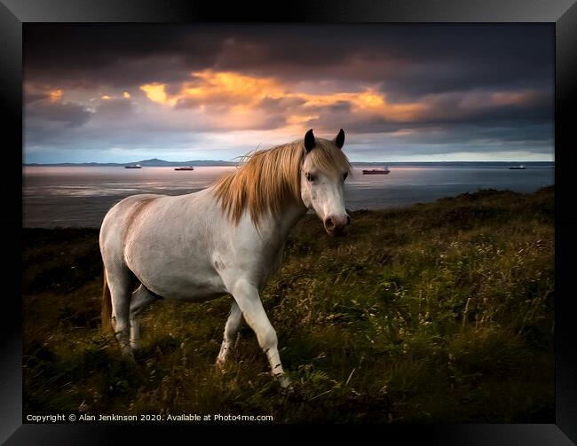 St Brides Pony at Twilight, West Wales Framed Print by Alan Jenkinson