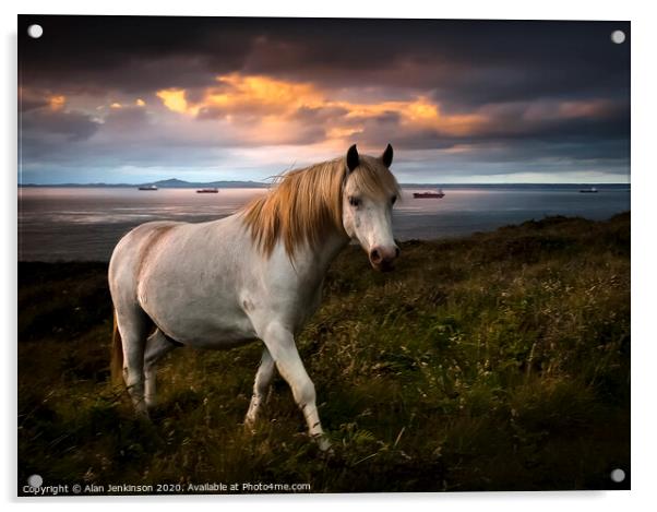 St Brides Pony at Twilight, West Wales Acrylic by Alan Jenkinson