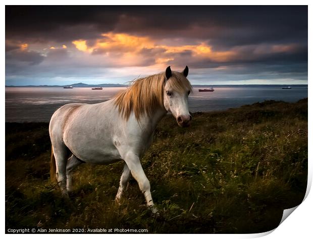 St Brides Pony at Twilight, West Wales Print by Alan Jenkinson