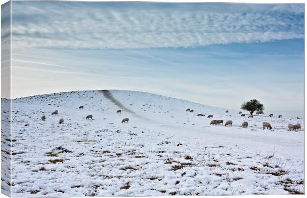 Pitstone Hill in Winter Canvas Print by Graham Custance