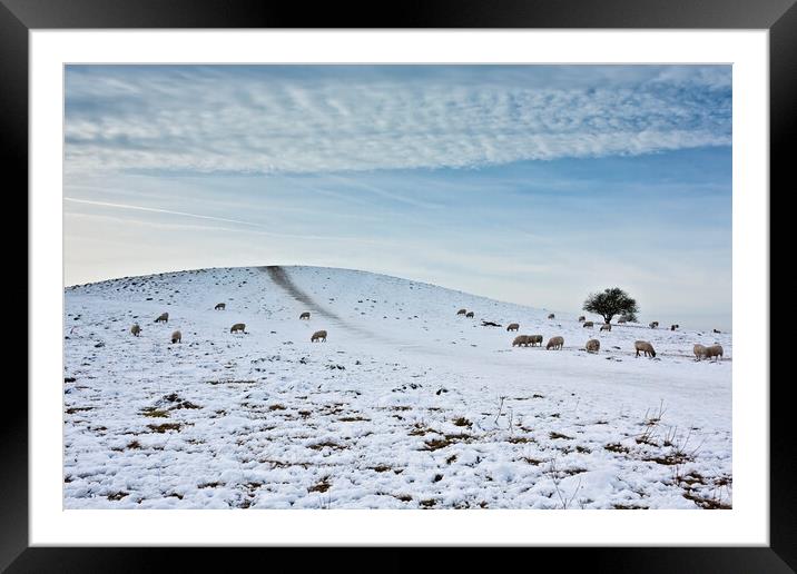Pitstone Hill in Winter Framed Mounted Print by Graham Custance