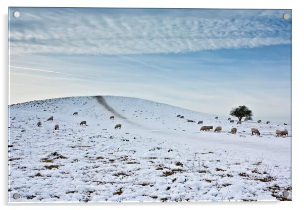 Pitstone Hill in Winter Acrylic by Graham Custance