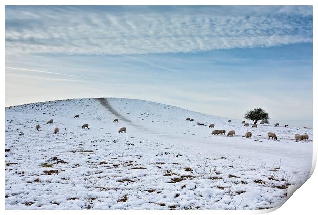 Pitstone Hill in Winter Print by Graham Custance