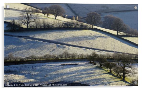 Winter in the Upper Derwent Valley Acrylic by Chris Drabble