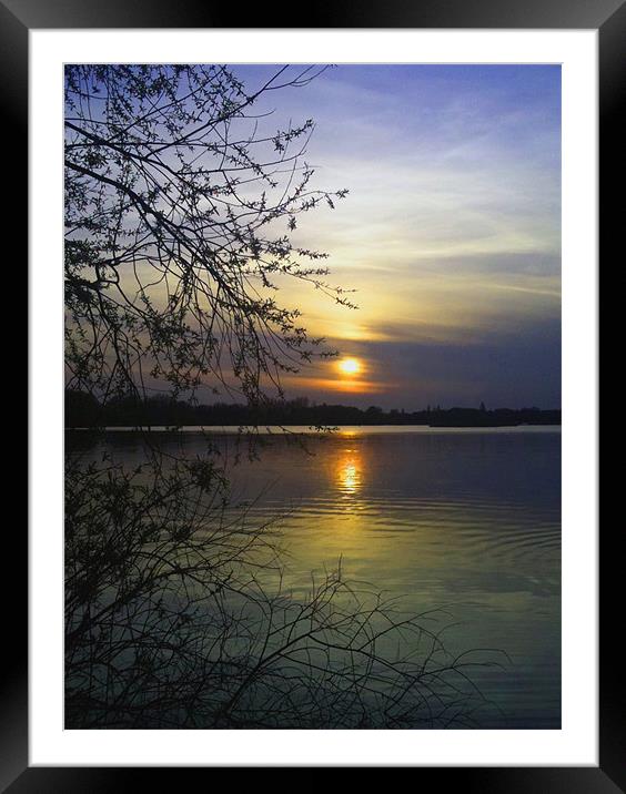 The end of a beautiful day Framed Mounted Print by Elizabeth Twigg