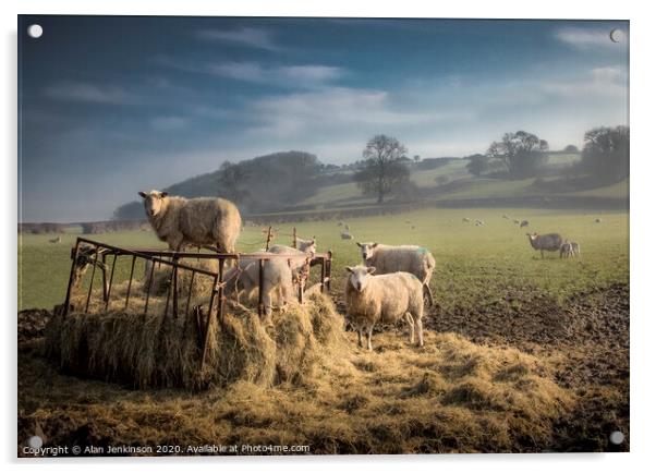 Dawn Feeding Sheep, South Wales Acrylic by Alan Jenkinson