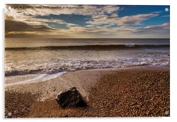 Rock on the beach Acrylic by Stuart C Clarke