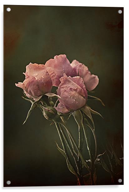 Antique Roses Acrylic by Jacqi Elmslie