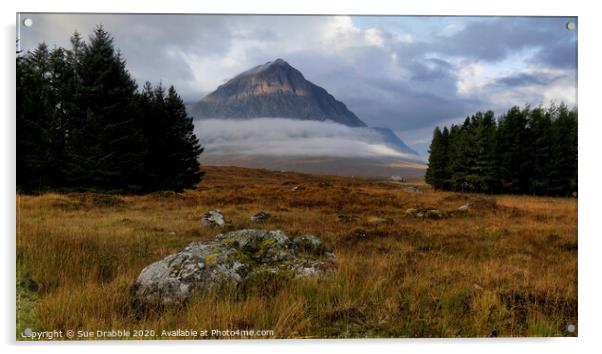 Buachaille Etive Mòr from Kingshouse Acrylic by Susan Cosier