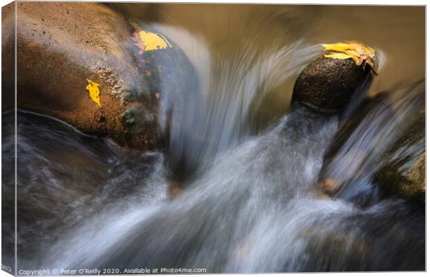 River Rocks, Zion National Park Canvas Print by Peter O'Reilly