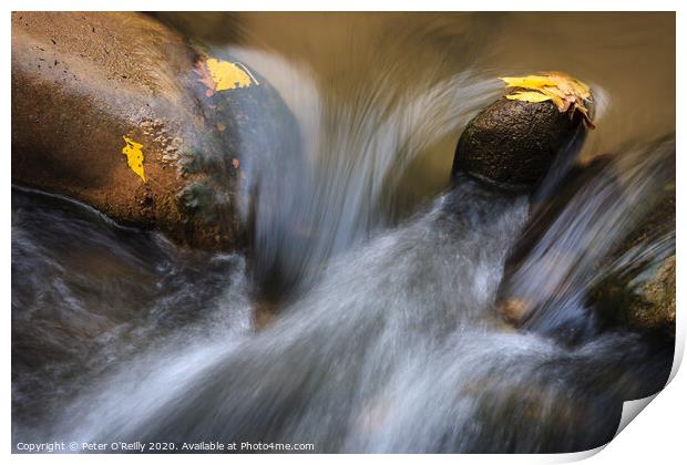 River Rocks, Zion National Park Print by Peter O'Reilly
