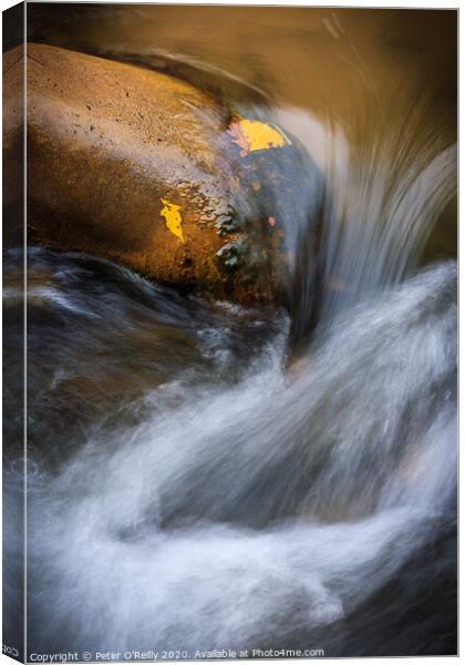 River Flow, Zion National Park Canvas Print by Peter O'Reilly