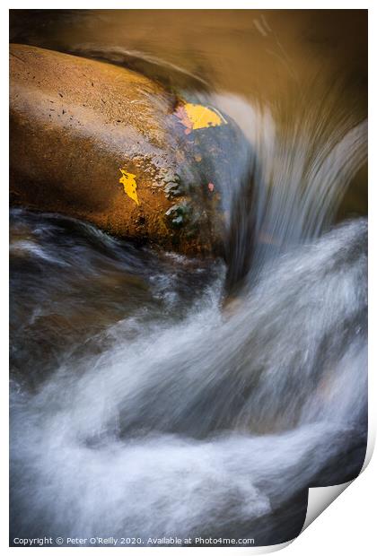 River Flow, Zion National Park Print by Peter O'Reilly