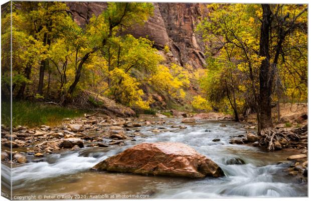 Virgin River, Zion National Park Canvas Print by Peter O'Reilly
