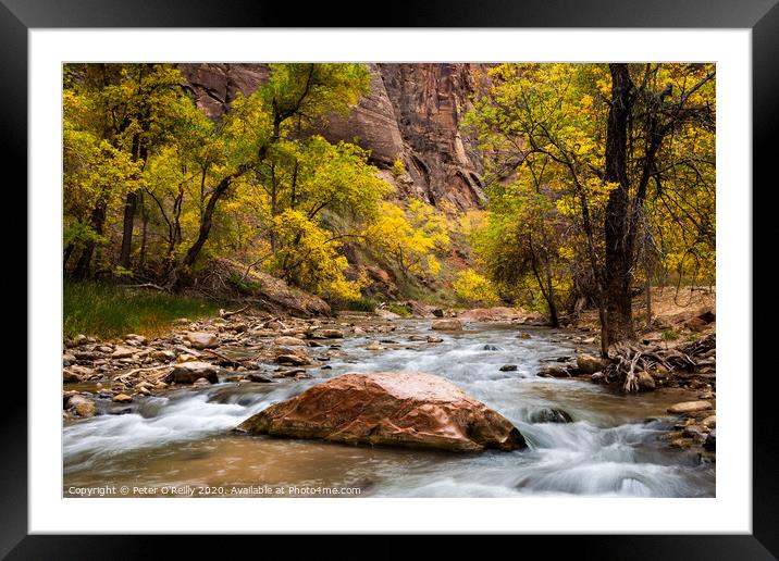 Virgin River, Zion National Park Framed Mounted Print by Peter O'Reilly