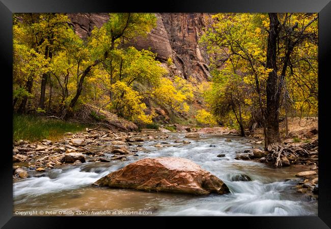 Virgin River, Zion National Park Framed Print by Peter O'Reilly