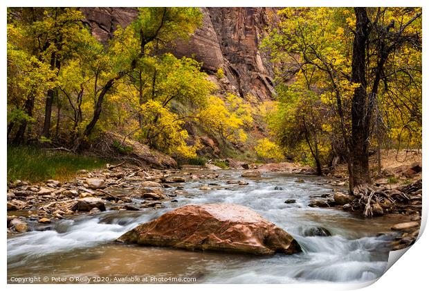 Virgin River, Zion National Park Print by Peter O'Reilly