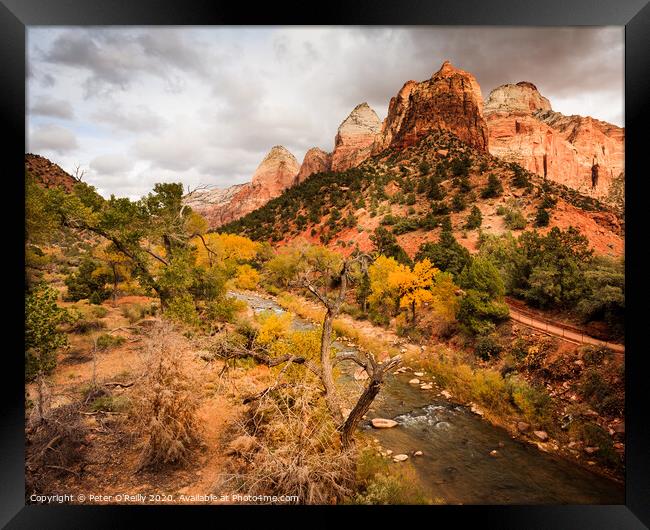 The Watchman, Zion National Park Framed Print by Peter O'Reilly