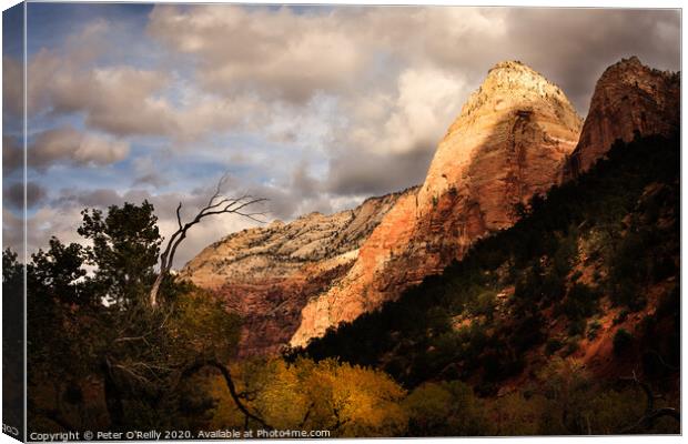 Peaks of the Watchman Canvas Print by Peter O'Reilly