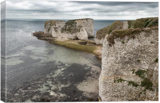 Old Harry Rocks Canvas Print by Wendy Williams CPAGB