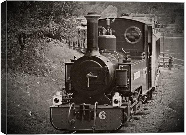 Longleats Steam Train Canvas Print by Jules Camfield