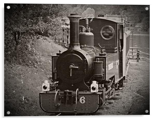 Longleats Steam Train Acrylic by Jules Camfield