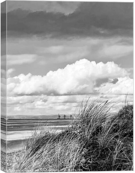 Sker Beach looking towards Swansea Canvas Print by Gaynor Ball