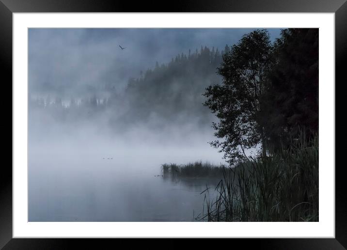 Mist and Silhouettes on the Lake Framed Mounted Print by Belinda Greb
