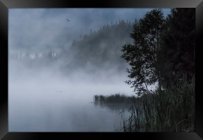 Mist and Silhouettes on the Lake Framed Print by Belinda Greb