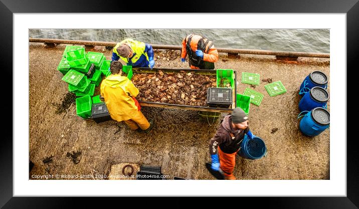 Fishermen at work #6 Framed Mounted Print by Richard Smith