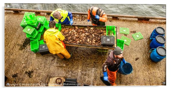 Fishermen at work #6 Acrylic by Richard Smith