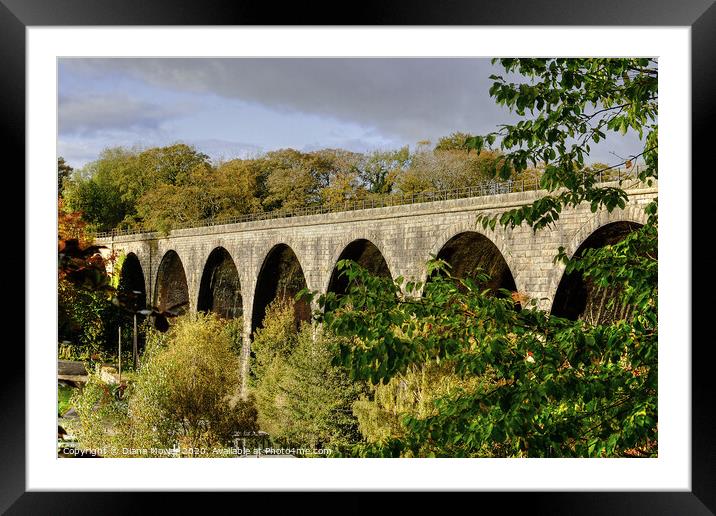 Ingleton Viaduct Yorkshire Dales Framed Mounted Print by Diana Mower