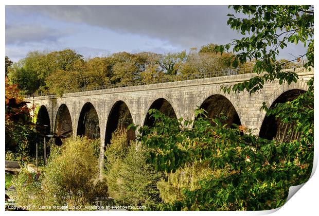 Ingleton Viaduct Yorkshire Dales Print by Diana Mower